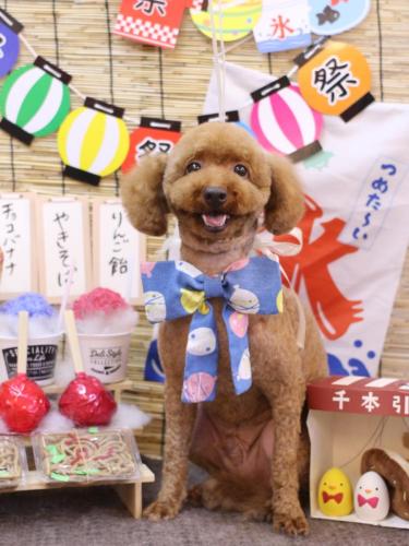 20240723ジョニーくん